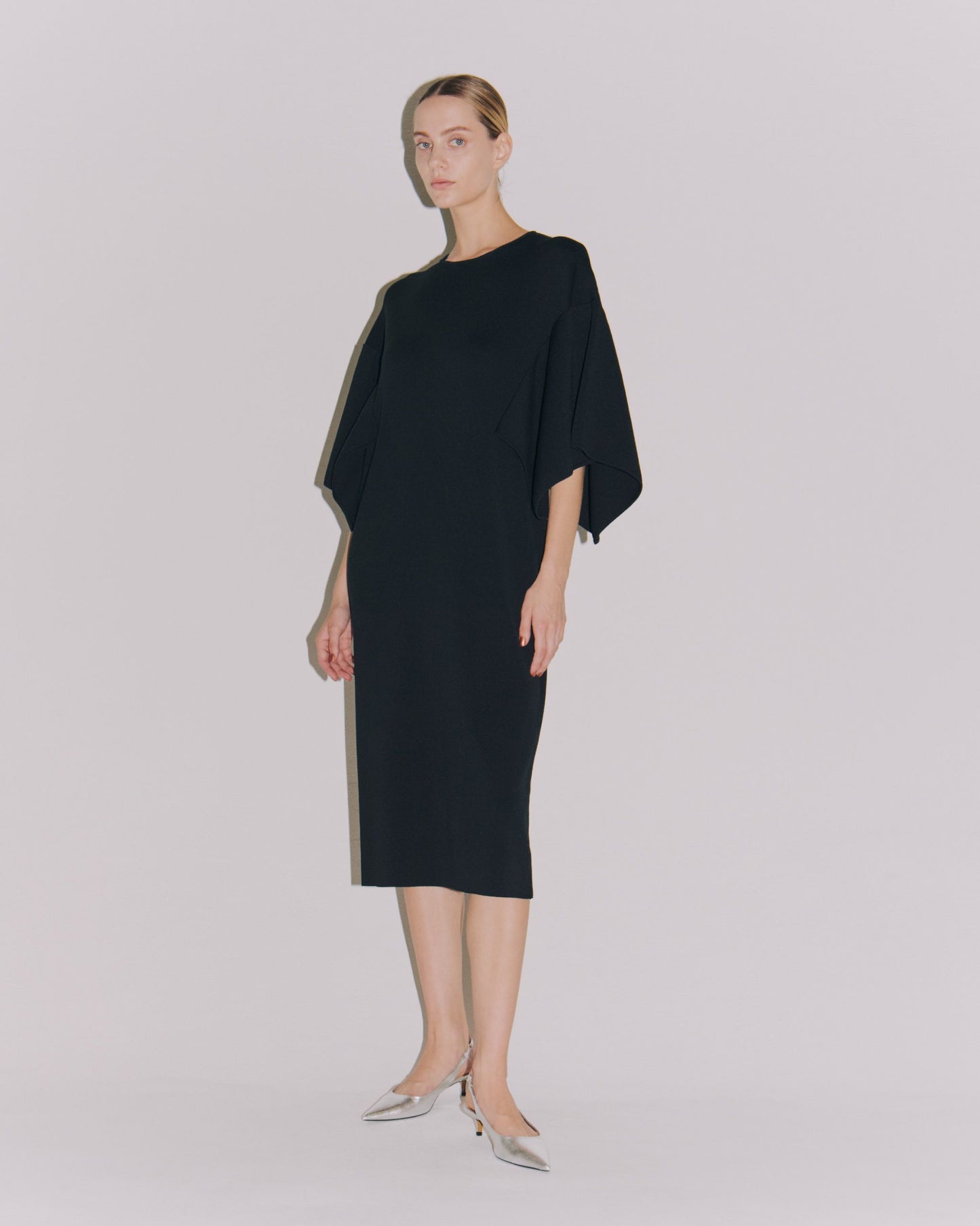 WING/SLEEVE CREW DRESS