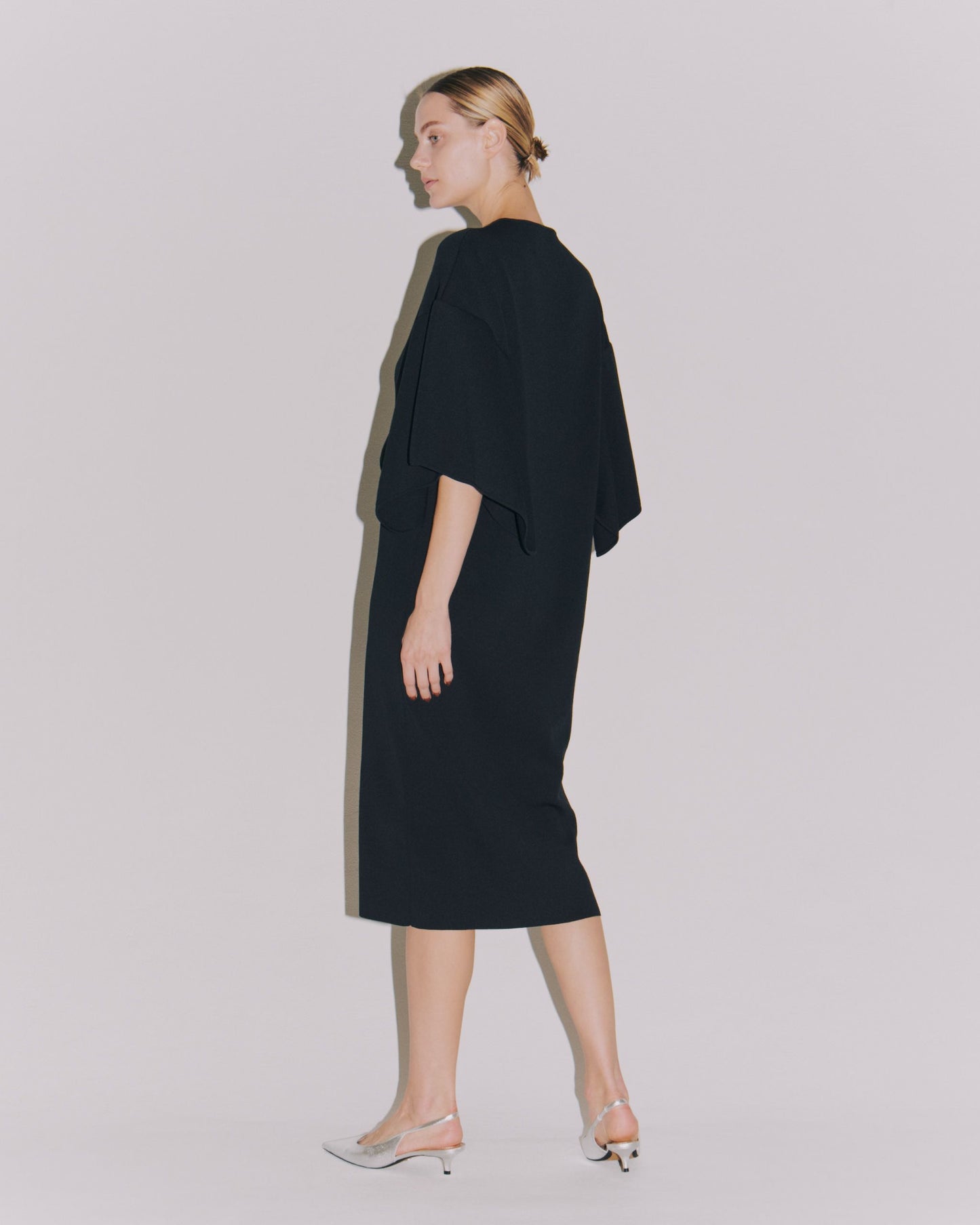 WING/SLEEVE CREW DRESS