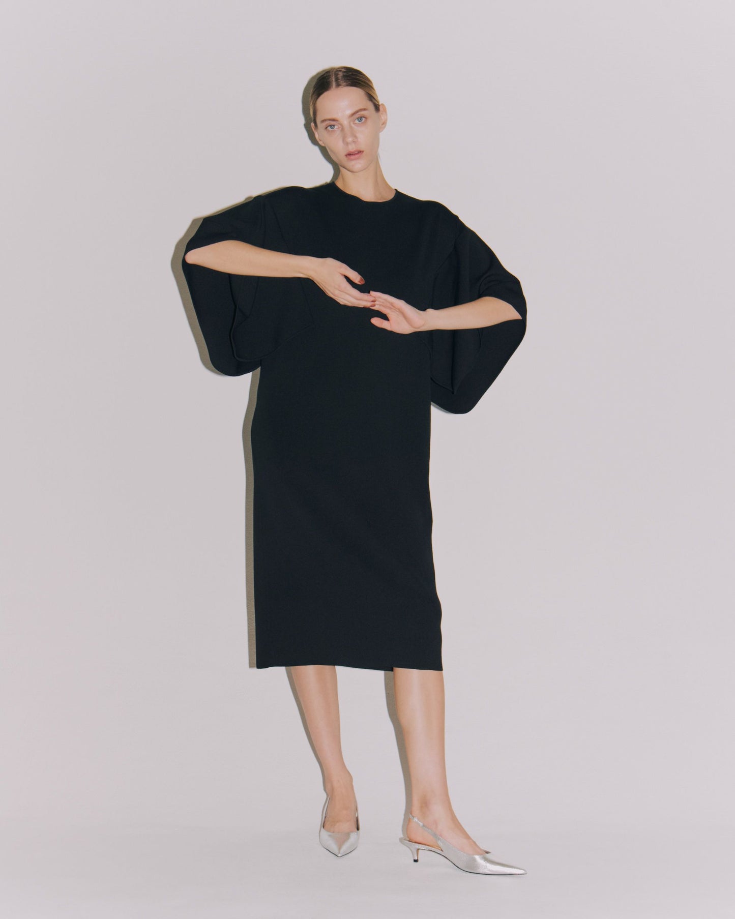 WING/SLEEVE CREW DRESS