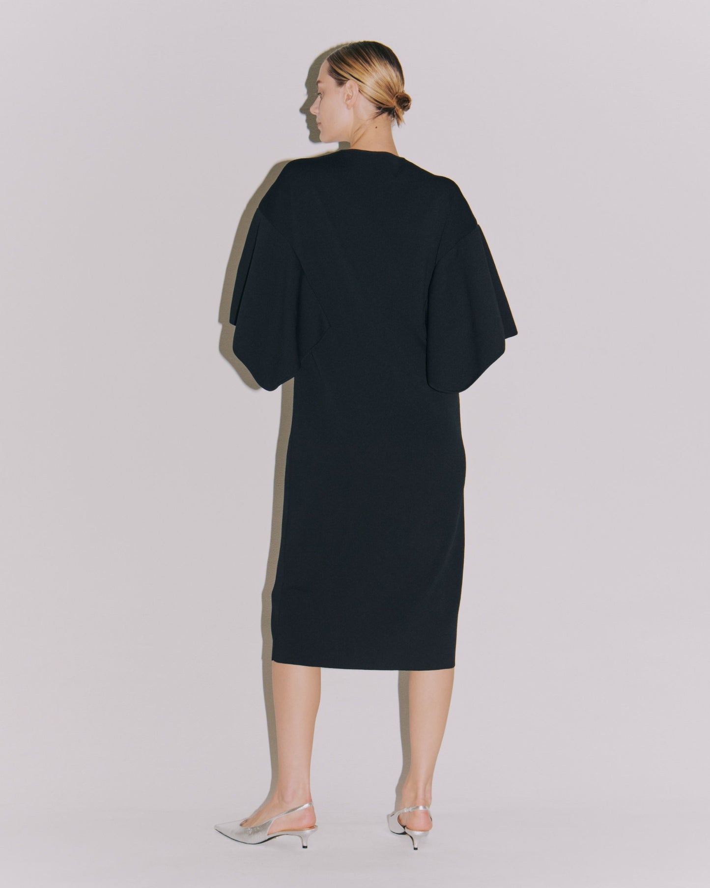 WING/SLEEVE CREW DRESS