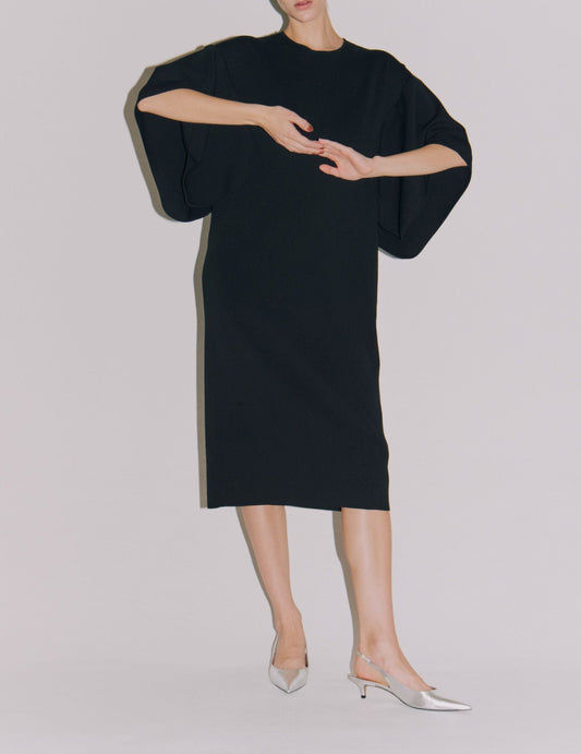 WING/SLEEVE CREW DRESS